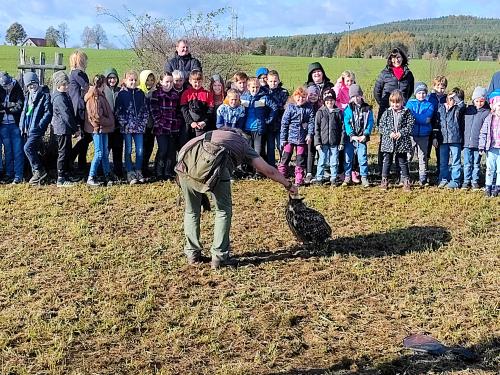 Ukázka dravých ptáků