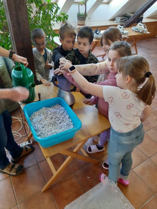 Ekocentrum-Cesta za papírem