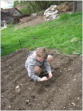 Přírodovědný kroužek